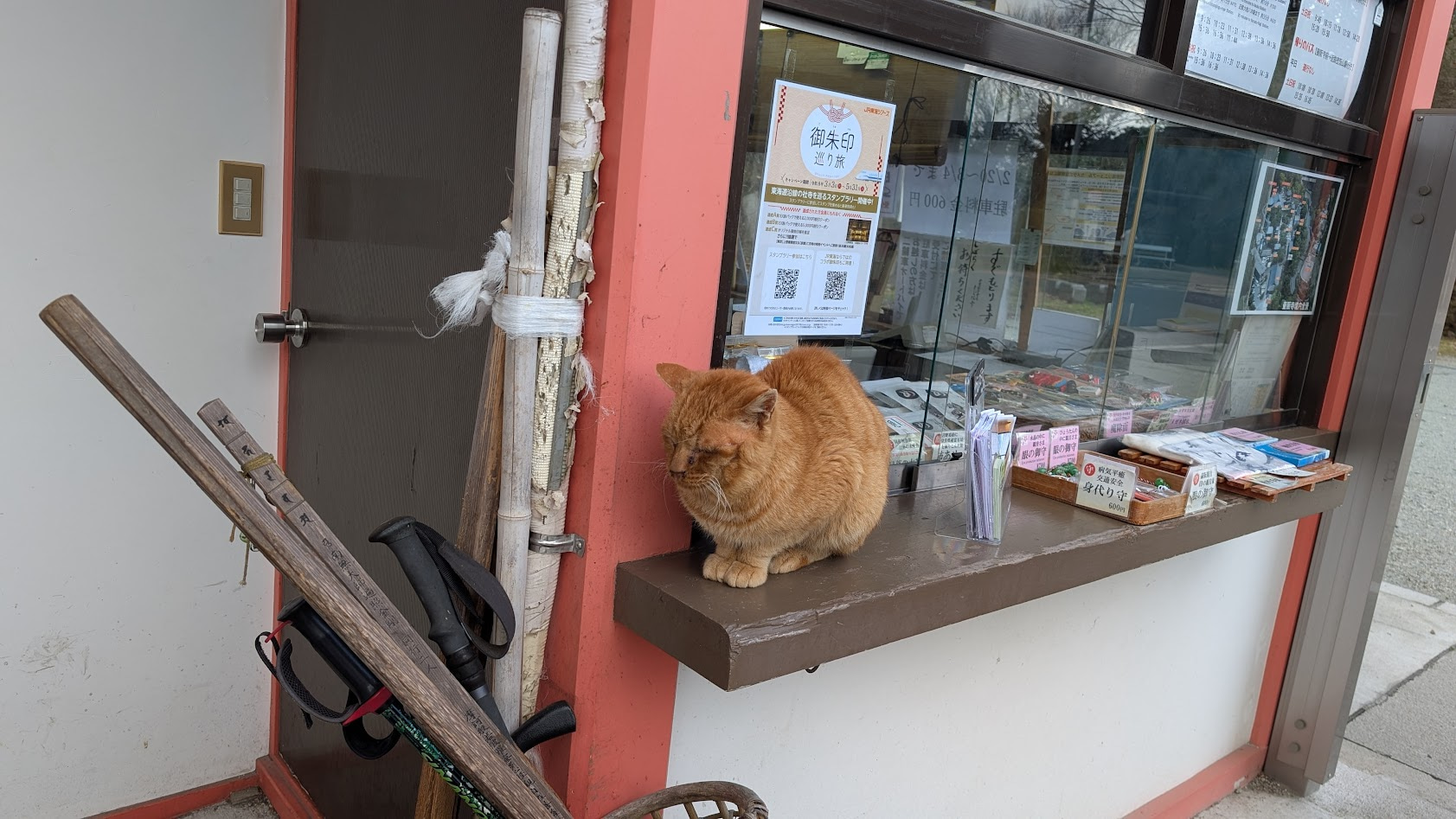 奈良・壷阪寺の入山入口で参拝客を出迎える可愛い猫。境内の静寂に溶け込む癒しの風景。