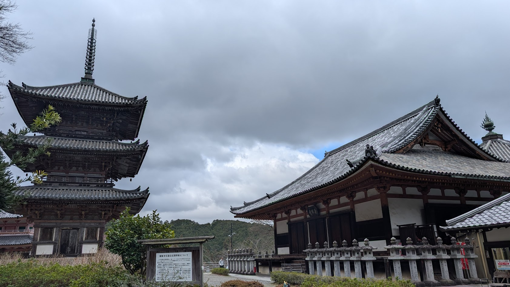 奈良・壷阪寺を象徴する重要文化財の本堂(礼堂・八角円堂)と、鮮やかな朱色の三重塔の共演。