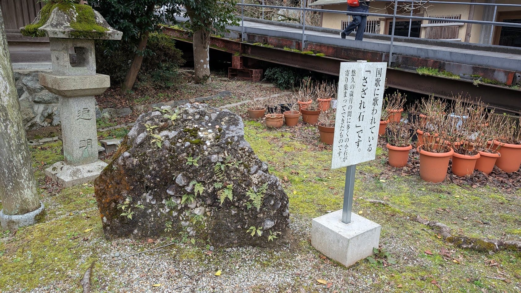 奈良・壷阪寺。国歌「君が代」に詠まれる、小さな石が結集して大きな岩となった「さざれ石」の全景。