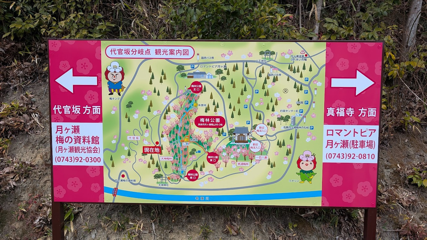 奈良県・月ヶ瀬梅林の入り口や主要ポイントに設置されている、広大な梅林全体の散策マップ案内板。