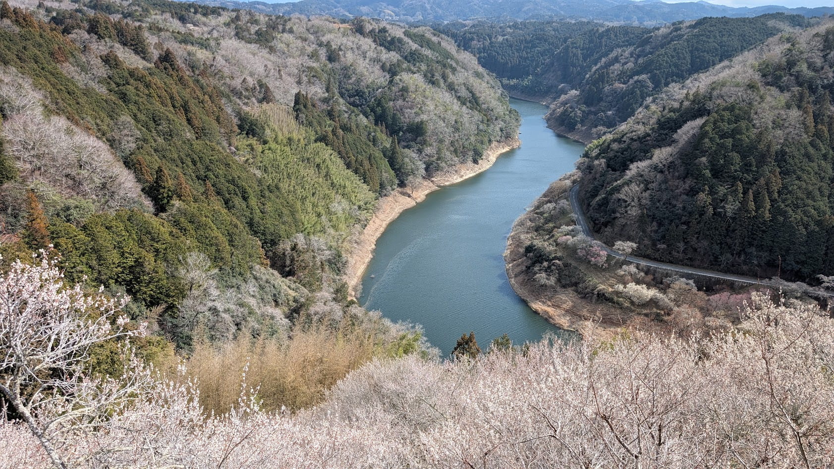 奈良県・月ヶ瀬梅林の「一目八景」から見下ろす、五月川沿いに広がる梅林の全景写真。