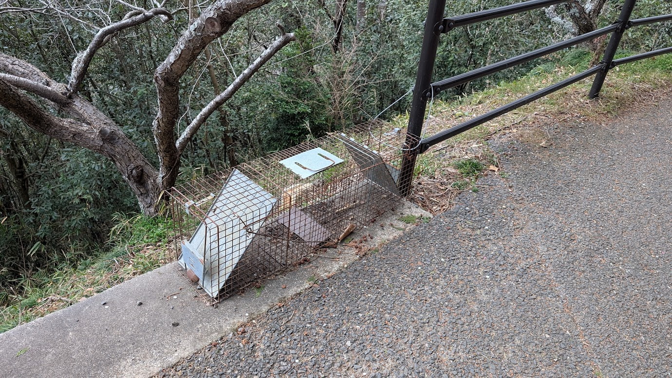 奈良県・月ヶ瀬梅林の山道脇に設置された、野生動物捕獲用の鉄格子の罠。
