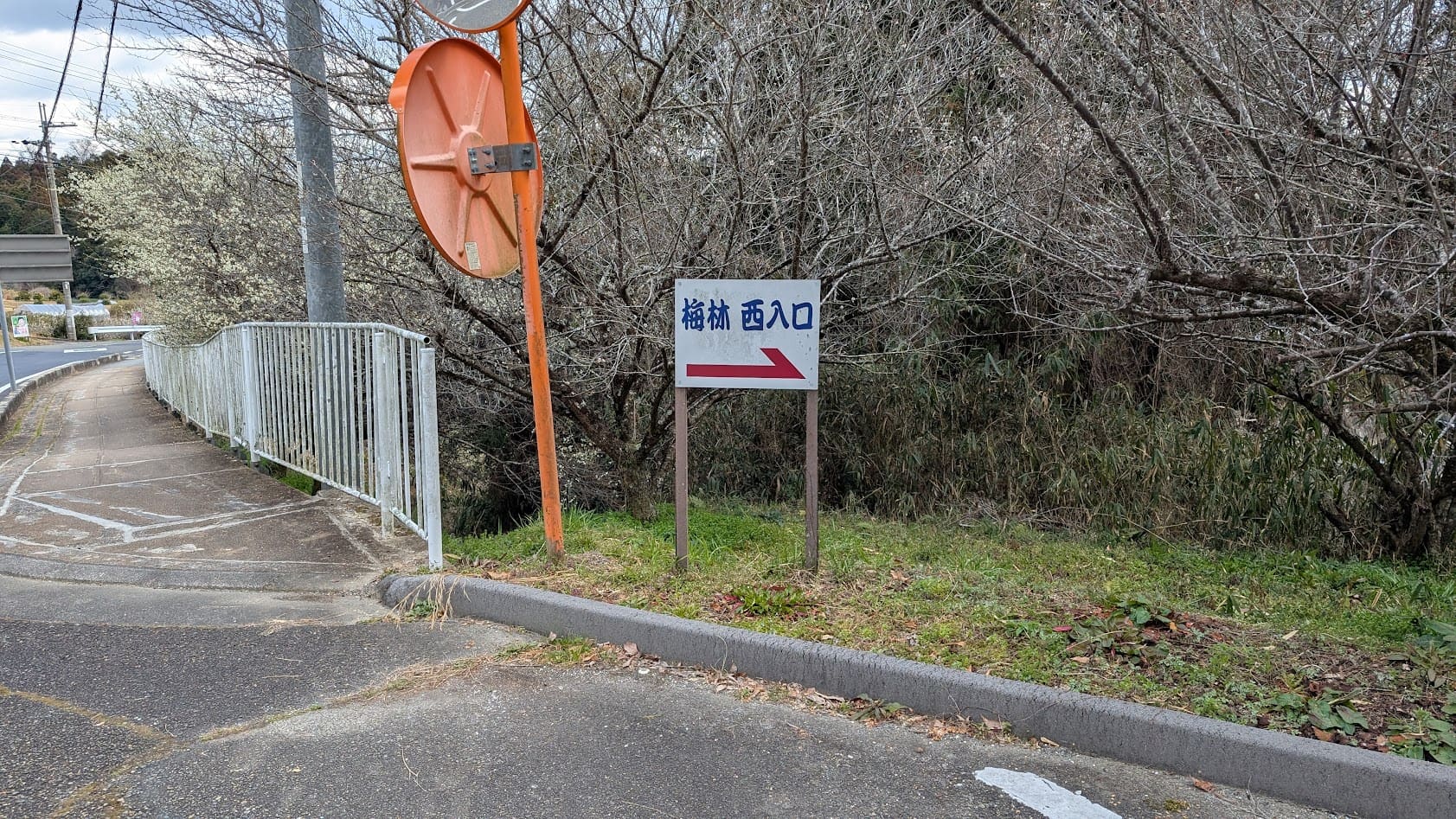 奈良県・月ヶ瀬梅林。無料駐車場から梅林入口（一目八景方面）へ導く「梅林入口はこちら」の矢印案内板。