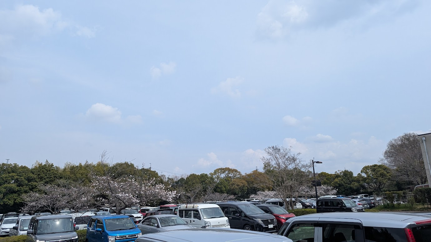 奈良県広陵町の馬見丘陵公園、中央口駐車場。平日（2026年3月30日）の昼時にもかかわらず、駐車場がほぼ満車で、空きを待つ車も見られる混雑した様子。