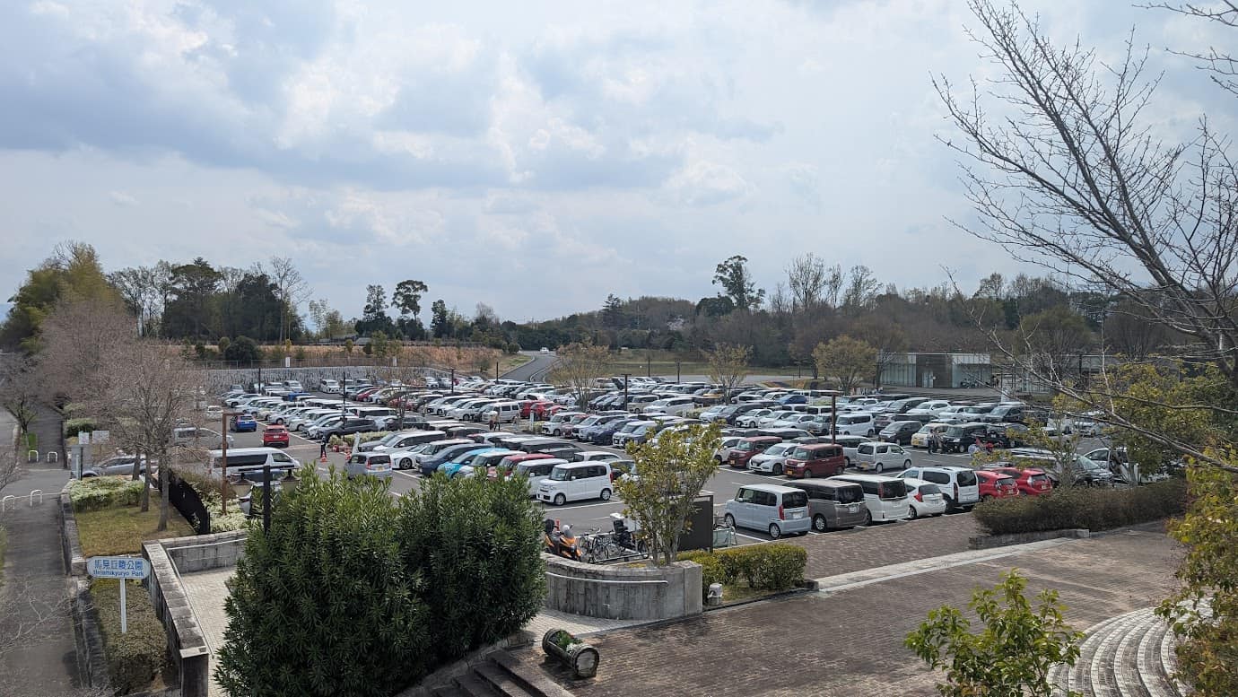 奈良県広陵町の馬見丘陵公園、北口駐車場。平日（2026年3月30日・月曜日）の昼時にもかかわらず、駐車場が完全に満車。空きを待つ車が場内をぐるぐると回っており、駐車場の入口には「満車」の看板が出ている風景（2026年3月30日撮影）。
