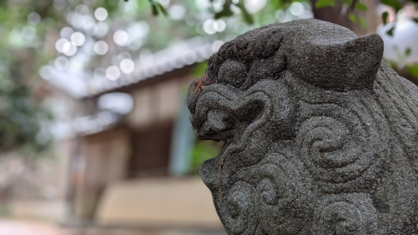 奈良 當麻山口神社の狛犬。歴史を感じる石造りの質感と、神域を守る力強くもどこか愛嬌のある表情のアップ