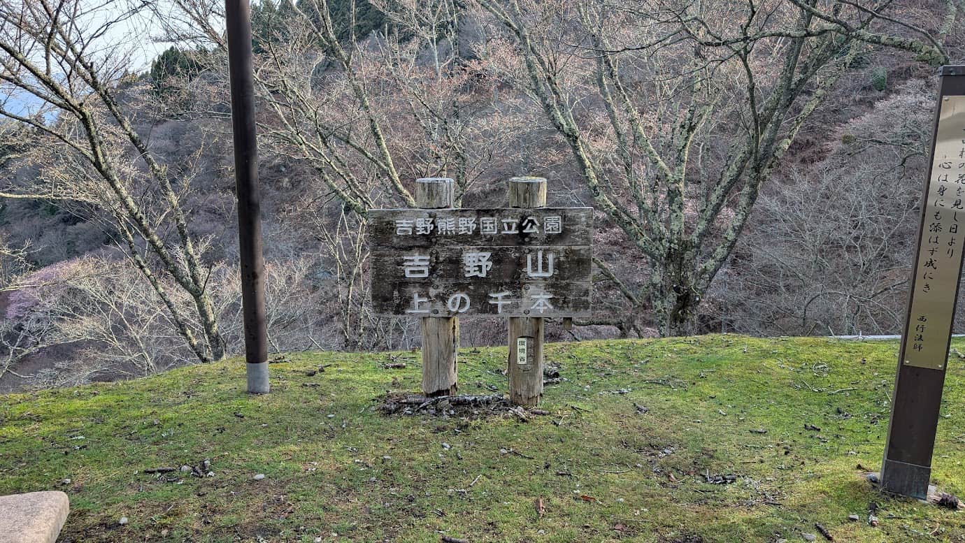 奈良県吉野山の「上千本」にある木製の案内看板。看板の周囲には桜の木々が立ち並んでいるが、下千本が満開の時期（2026年3月29日撮影）でも、ここではまだ花が咲いておらず、裸の枝が広がっている風景。