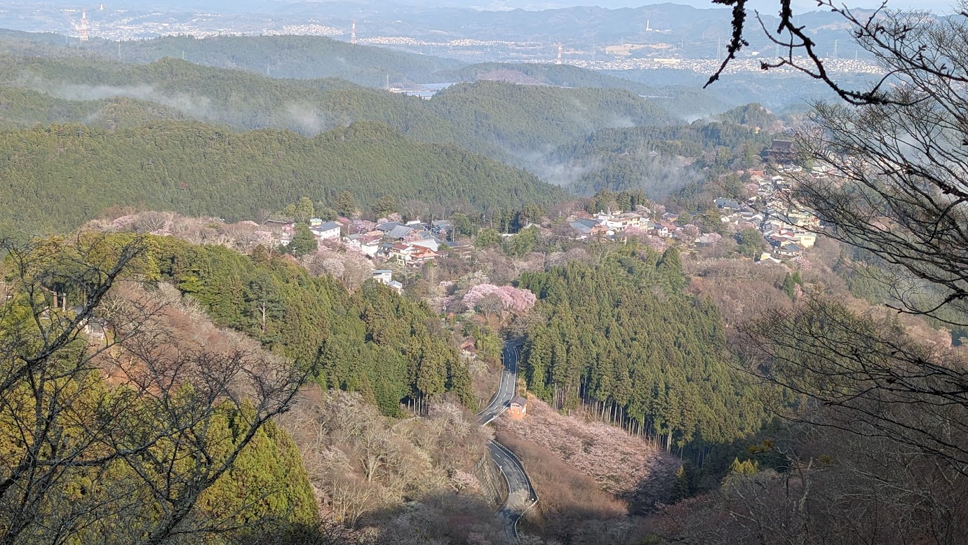 奈良県吉野山、上千本付近からの展望。左端に巨大な金峯山寺・蔵王堂が見え、山あいに広がる宿坊や民家の町並み、そして山肌を淡いピンクに染める桜と深い緑の杉林が織りなすパノラマ風景（2026年3月29日撮影）。