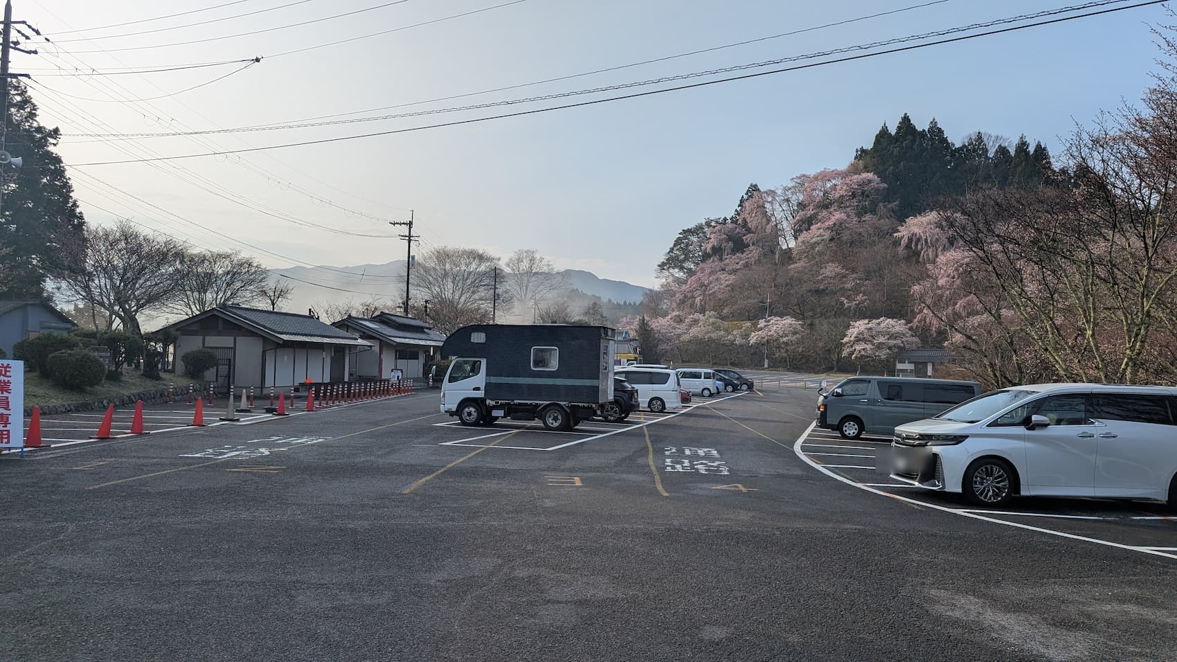奈良県吉野山の「下千本駐車場」の全景。早朝（2026年3月29日撮影）のため、まだ駐車スペースに余裕があり、キャンピングカーや普通車が数台停まっている。背景には満開の桜が山肌を彩り、清潔感のある公衆トイレなどの設備も見える。