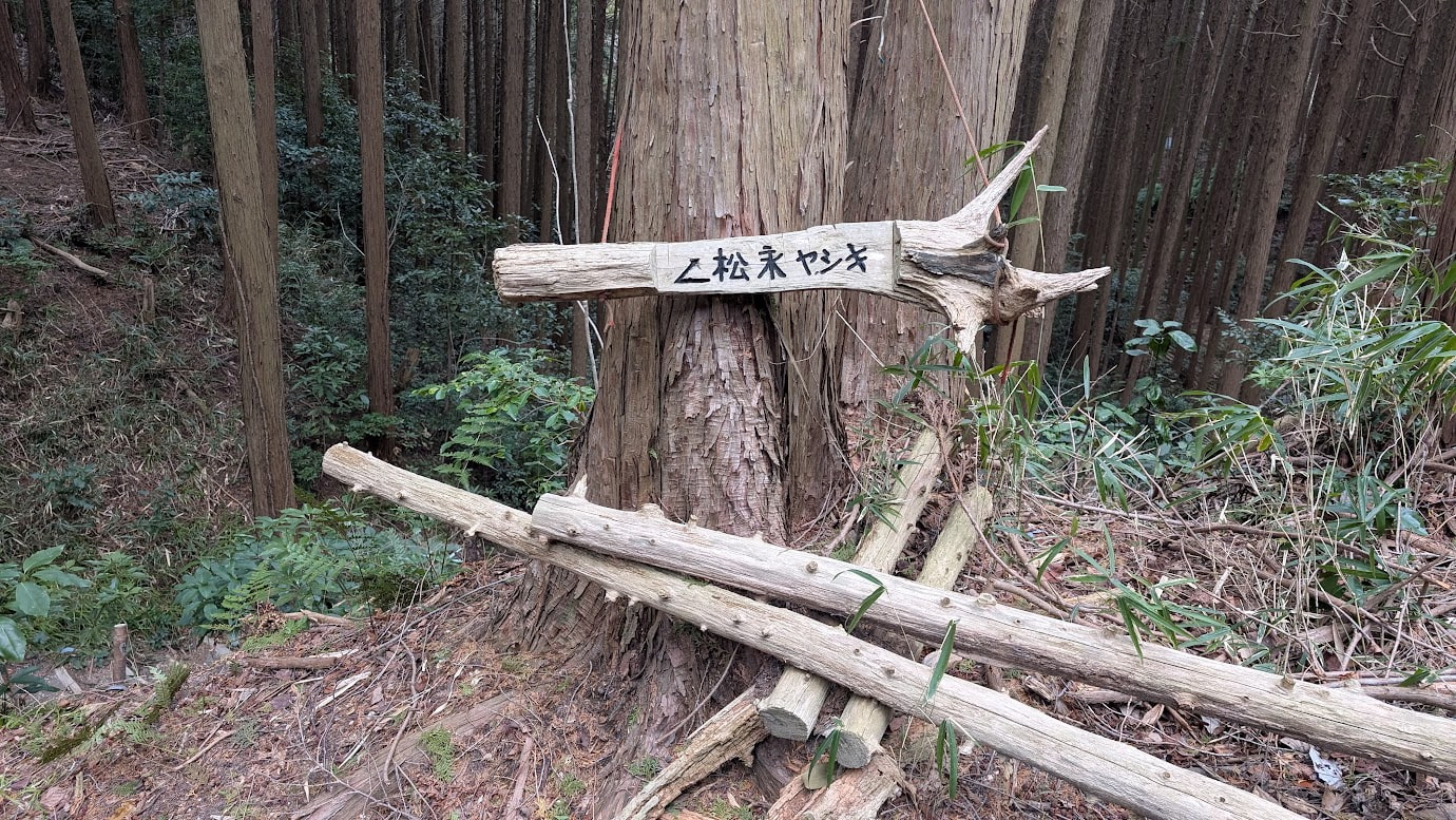 森の中の木に吊るされた、自然の枝や倒木を利用した手作りの案内標識。「←松永ヤシキ」と手書きで記されており、周囲の杉林の風景と一体化している。
