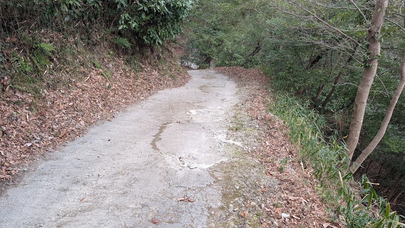 信貴山城址・松永屋敷跡へと続く山道。コンクリートで舗装されているが、表面はひび割れや凹凸があり、砂利が散らばっている。周囲は木々に囲まれた下り坂。