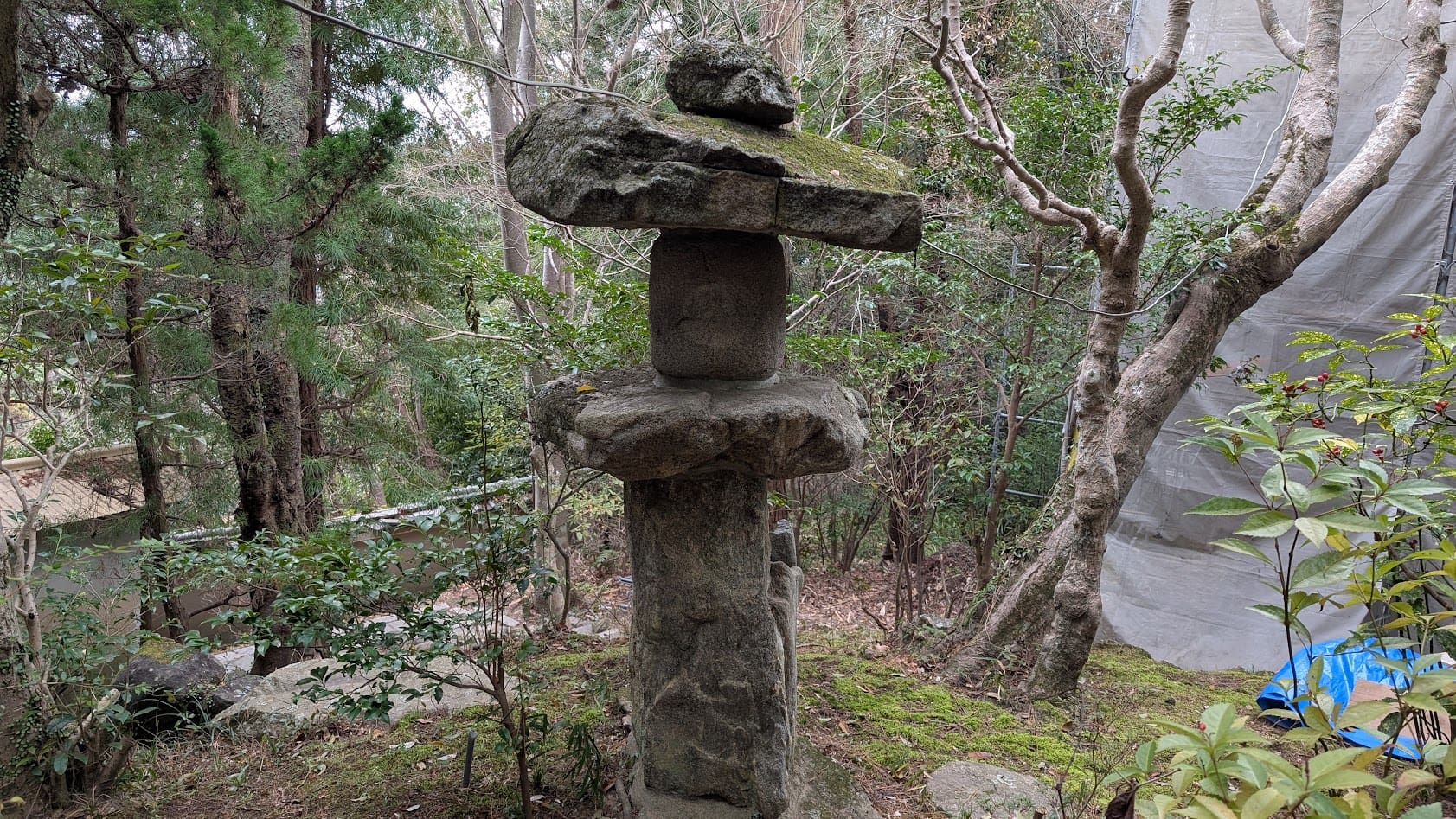 古蓮庵の庭園に立つ、厚く緑の苔に覆われた古い石燈籠。背景にはしっとりと濡れた苔の絨毯と、静かな木漏れ日が広がっている。