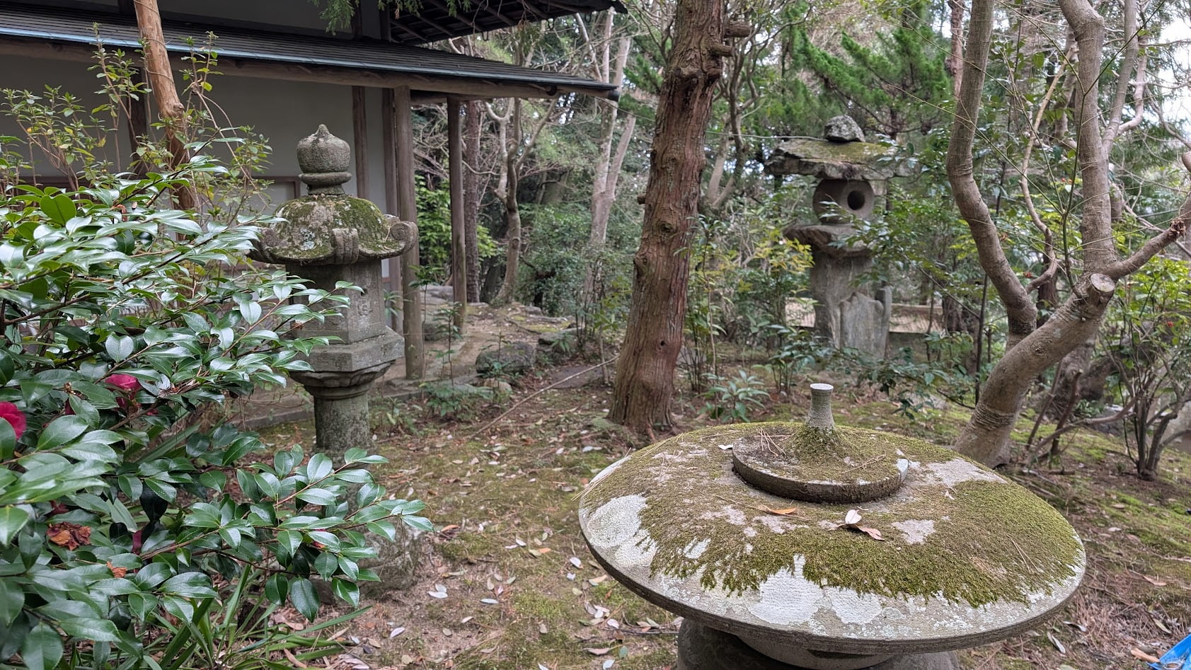 信貴山朝護孫子寺・古蓮庵の庭園。一面に広がる緑の苔と、その中に佇む苔むした古い石燈籠。周囲の木々が作る木漏れ日が庭全体を優しく照らしている。
