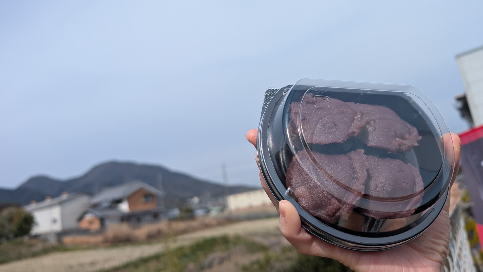 奈良 當麻寺 中将餅 