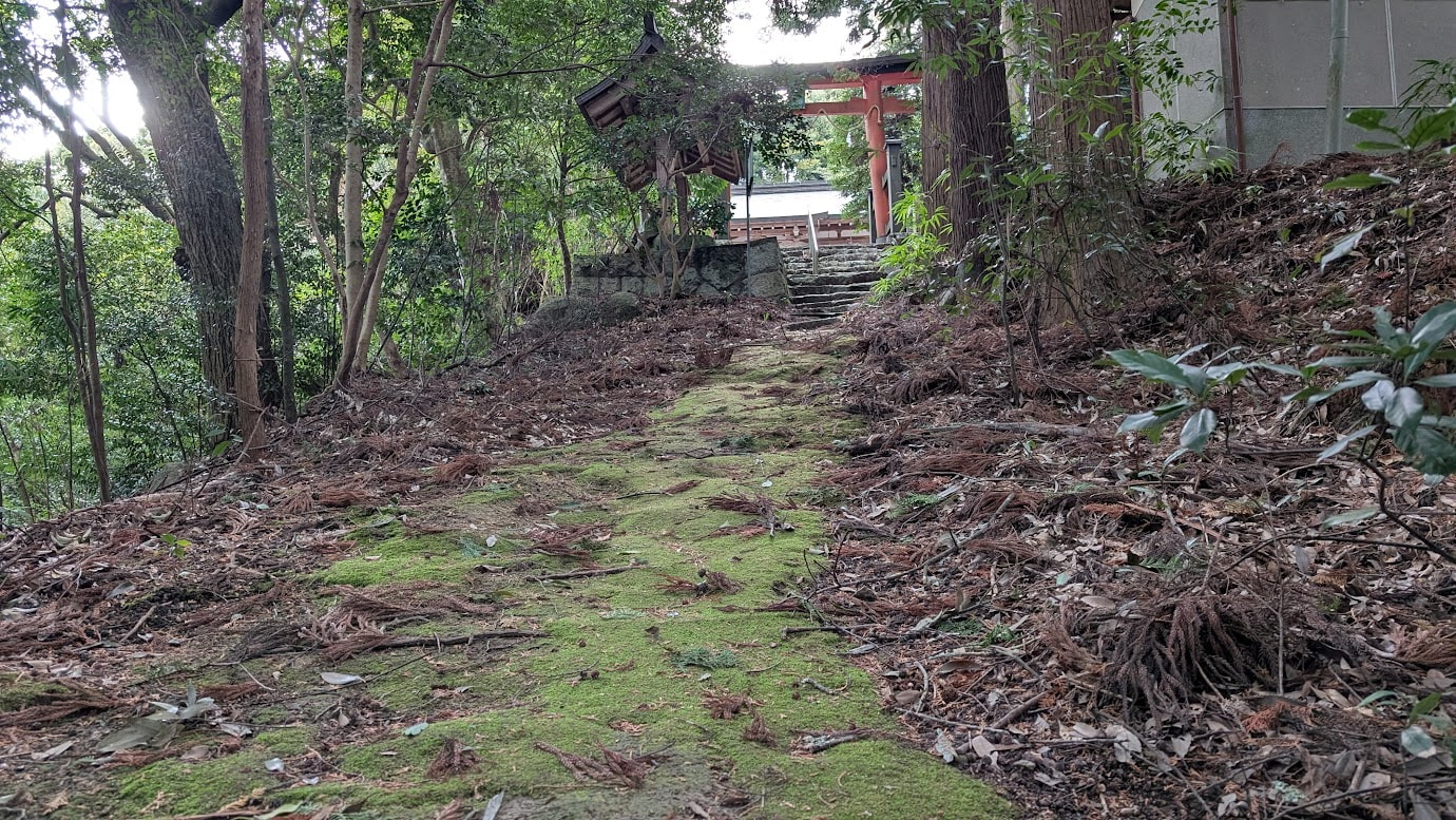 瀧蔵神社の苔むした石段の参道。緑深い森の中に古い木の鳥居が立ち、その奥に拝殿が少しだけ見えている。