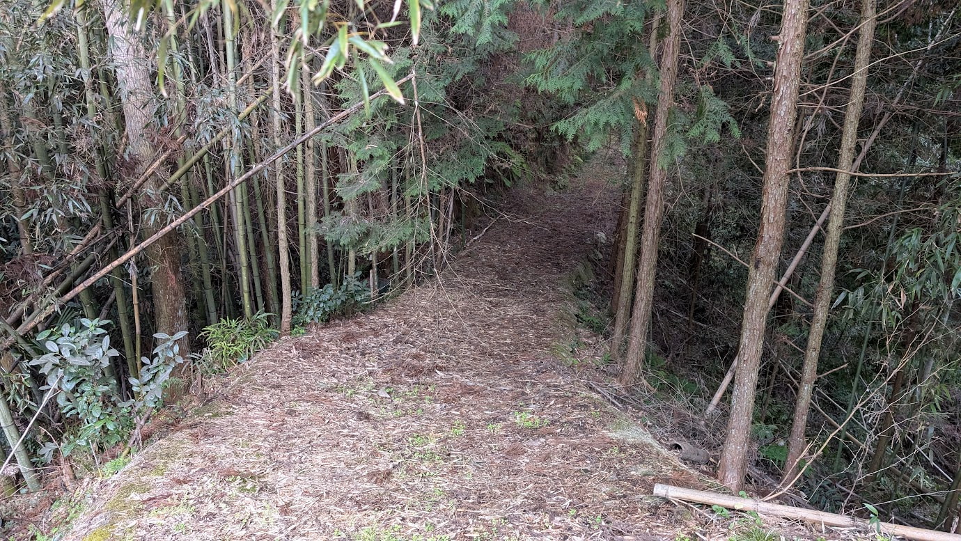 瀧蔵神社の駐車場下から薬師堂へと続く参道の入り口。周囲の木々が重なり合い、まるで緑のトンネルのようになっている。