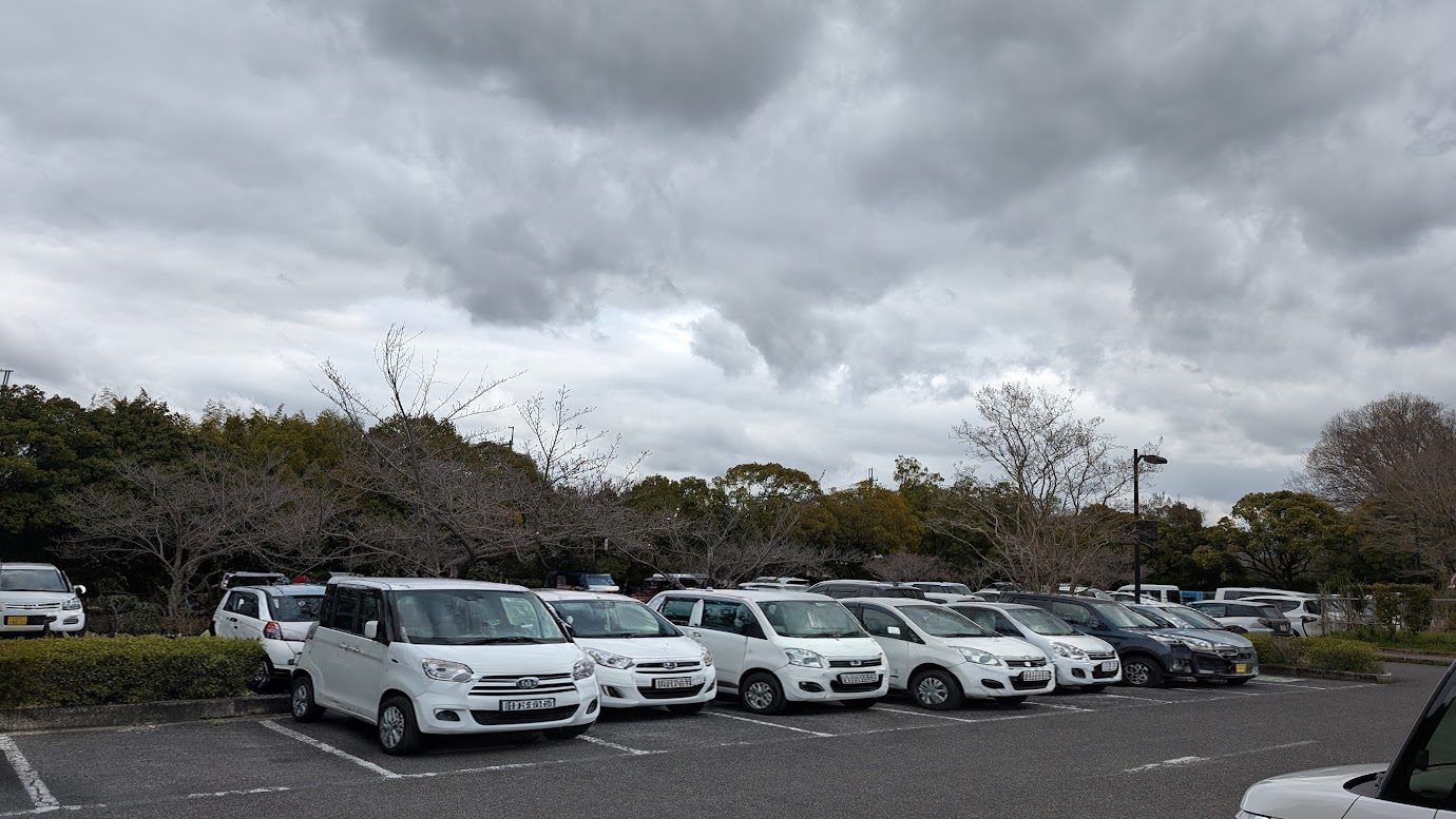 馬見丘陵公園の中央口駐車場の奥側。曇り空の下、多数の白い乗用車が整然と駐車されており、空きスペースがほとんどない状態。背景には落葉した樹木と常緑樹が混在している。