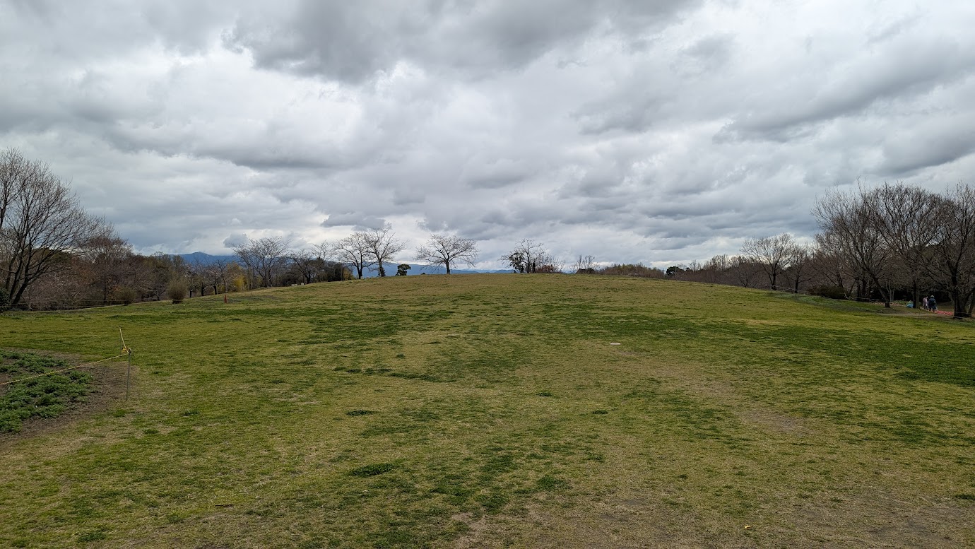 奈良県馬見丘陵公園の北エリアにある広い芝生の丘。曇り空の下、広大な緑の広場が広がり、遠くには山並みが見える。丘の斜面には数本の桜の木が立っている。