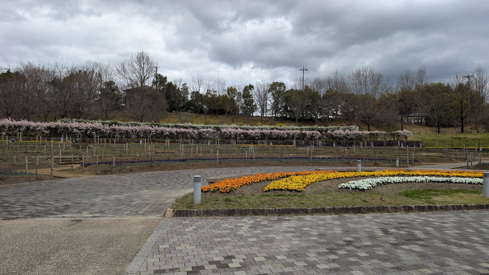 奈良県馬見丘陵公園の散策路。手前にはオレンジ、黄色、白のパンジーが花壇を彩り、奥には満開のユキヤナギの列が続いている。背景には冬枯れの木々と曇り空が広がっている。
