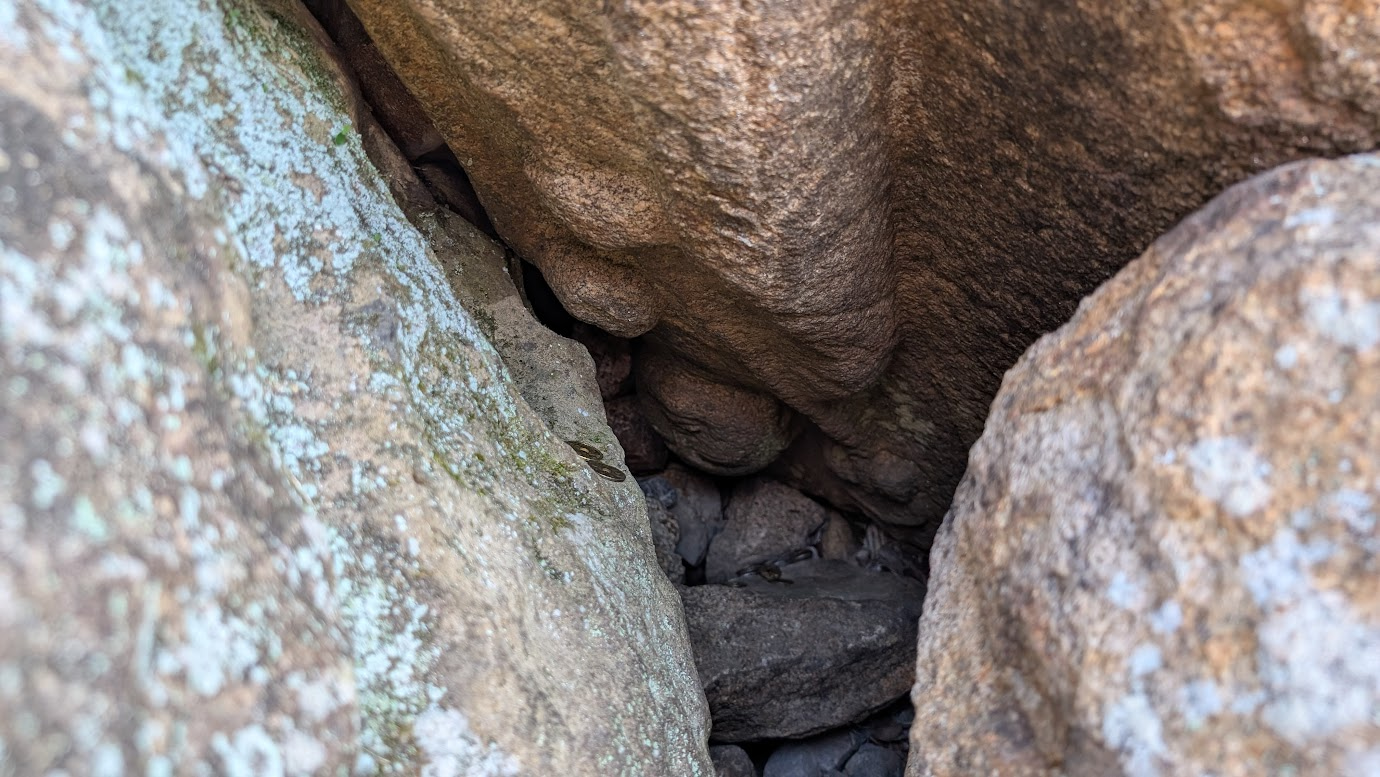 大和郡山城の天守台の石垣に組み込まれた、頭部を下にして「逆さ」になった地蔵菩薩像（逆さ地蔵）。賽銭が供えられ、歴史の重みを感じさせる。