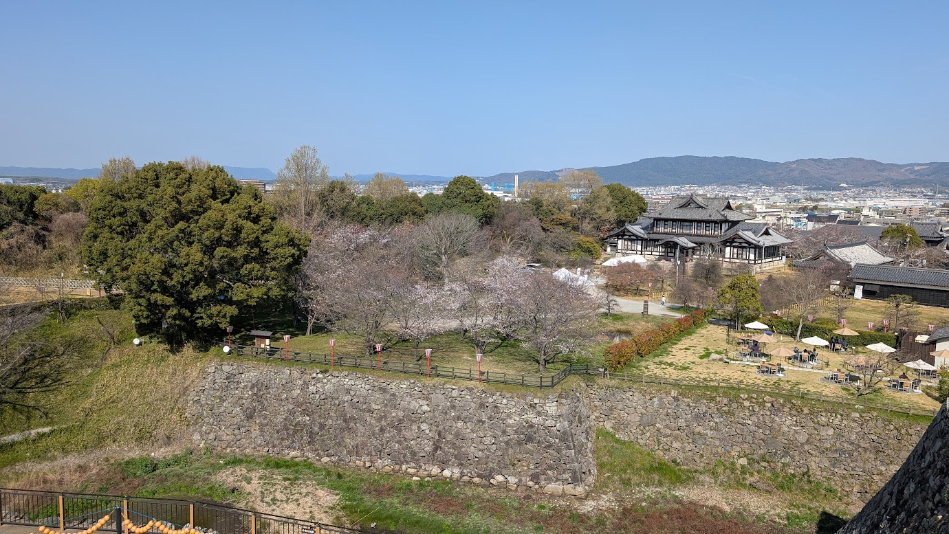 奈良県大和郡山城跡の天守台から見下ろした絶景。満開に近い桜の木々と、復元された追手門や櫓、城下町が広がり、遠くには青空の下で山並みが望める。