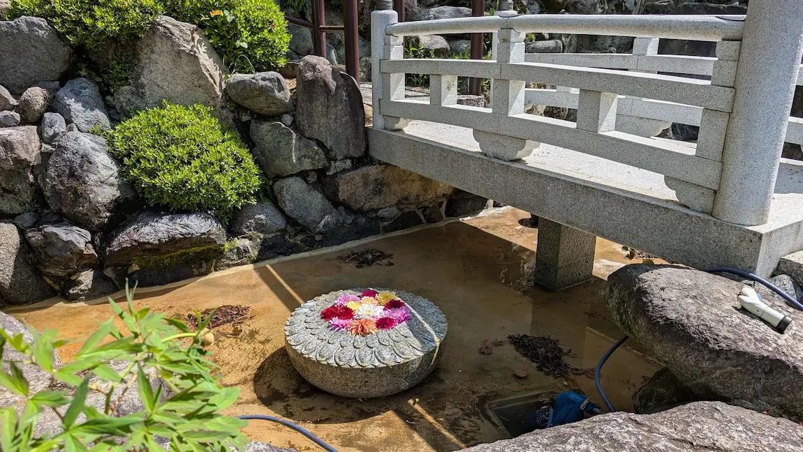 岡寺の池の中央にある丸い石の台座に、色鮮やかなダリアが円状に生けられている準備中の風景