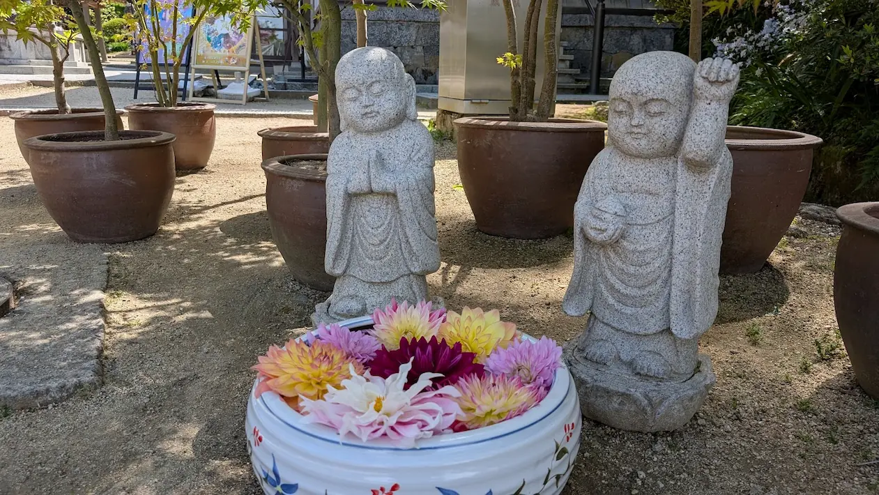 岡寺の境内で、色鮮やかなダリアが浮かぶ白い睡蓮鉢の横に並ぶ、合掌したお地蔵様と拳を挙げたお地蔵様