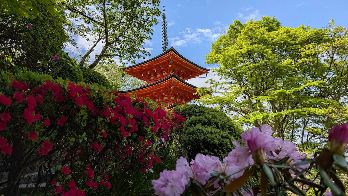 青空の下、朱色の三重塔を背景に、手前で鮮やかに咲き誇るピンクのシャクナゲと赤いツツジ