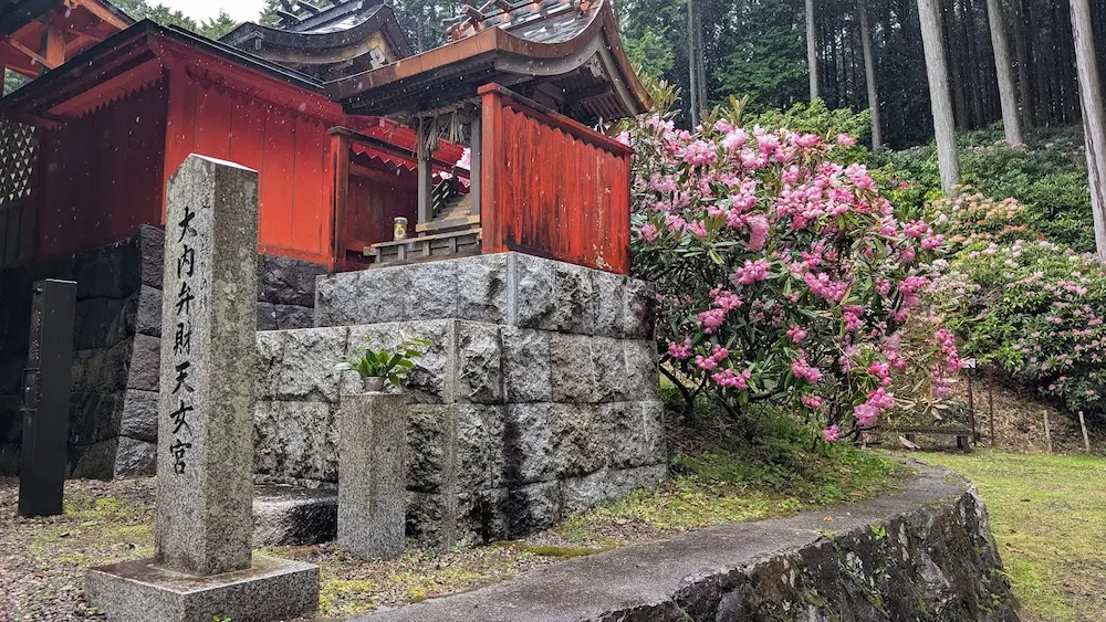 雨に濡れて色鮮やかな朱色の本殿と、その傍らで満開に咲き誇るシャクナゲの風景