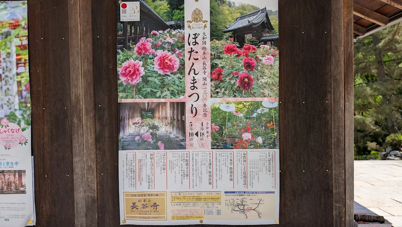 長谷寺の「ぼたんまつり」ポスター。開山1300年記念の文字と、4月18日から5月10日までの開催期間、登廊や牡丹の写真が掲載されている