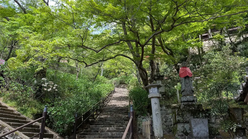 奈良・長谷寺の境内で、頭上を埋め尽くす新緑の青もみじと、赤い前掛けをしたお地蔵様が佇む静かな石段の風景
