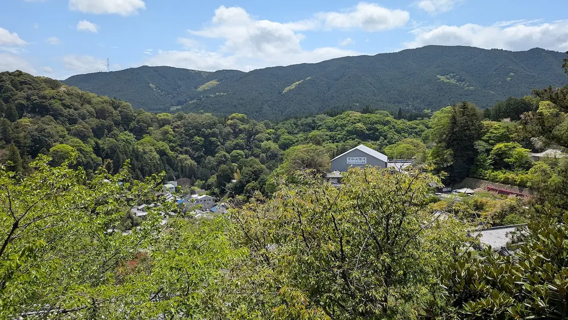 奈良・長谷寺の国宝本堂（大舞台）から見下ろす、新緑に覆われた境内の建物と、遠くに広がる明日香の山々の風景