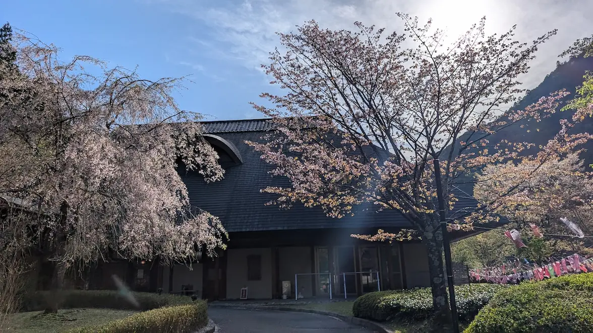 桜が咲き誇る春の下北山温泉「きなりの湯」の建物外観全景