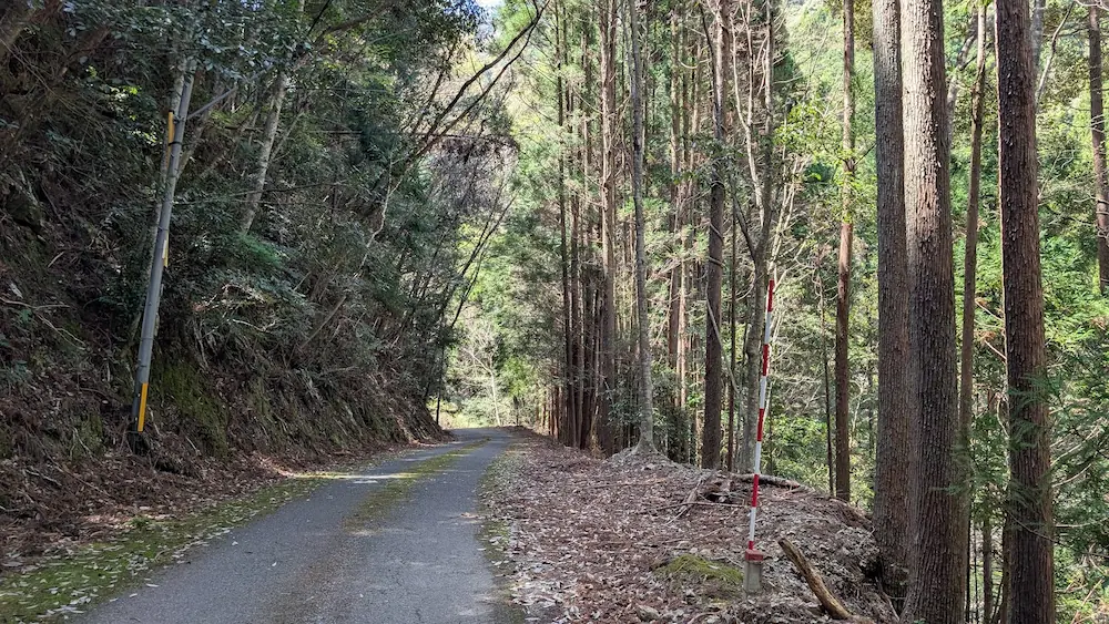 不動七重の滝へ向かう山道。道幅が狭く、片側が崖になっているがガードレールが設置されていない箇所の風景。