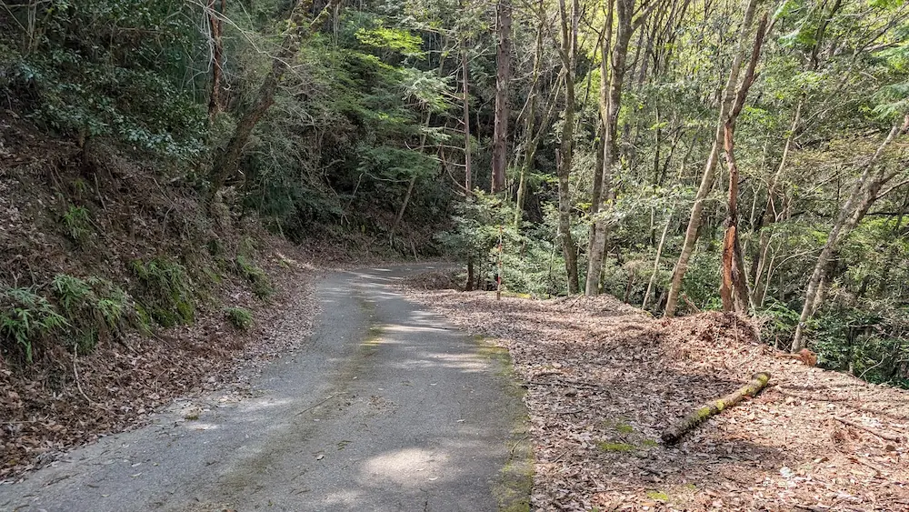 不動七重の滝への道中にある急カーブ。道幅が狭く、カーブミラーが設置されていないため先が見通せない箇所の写真。