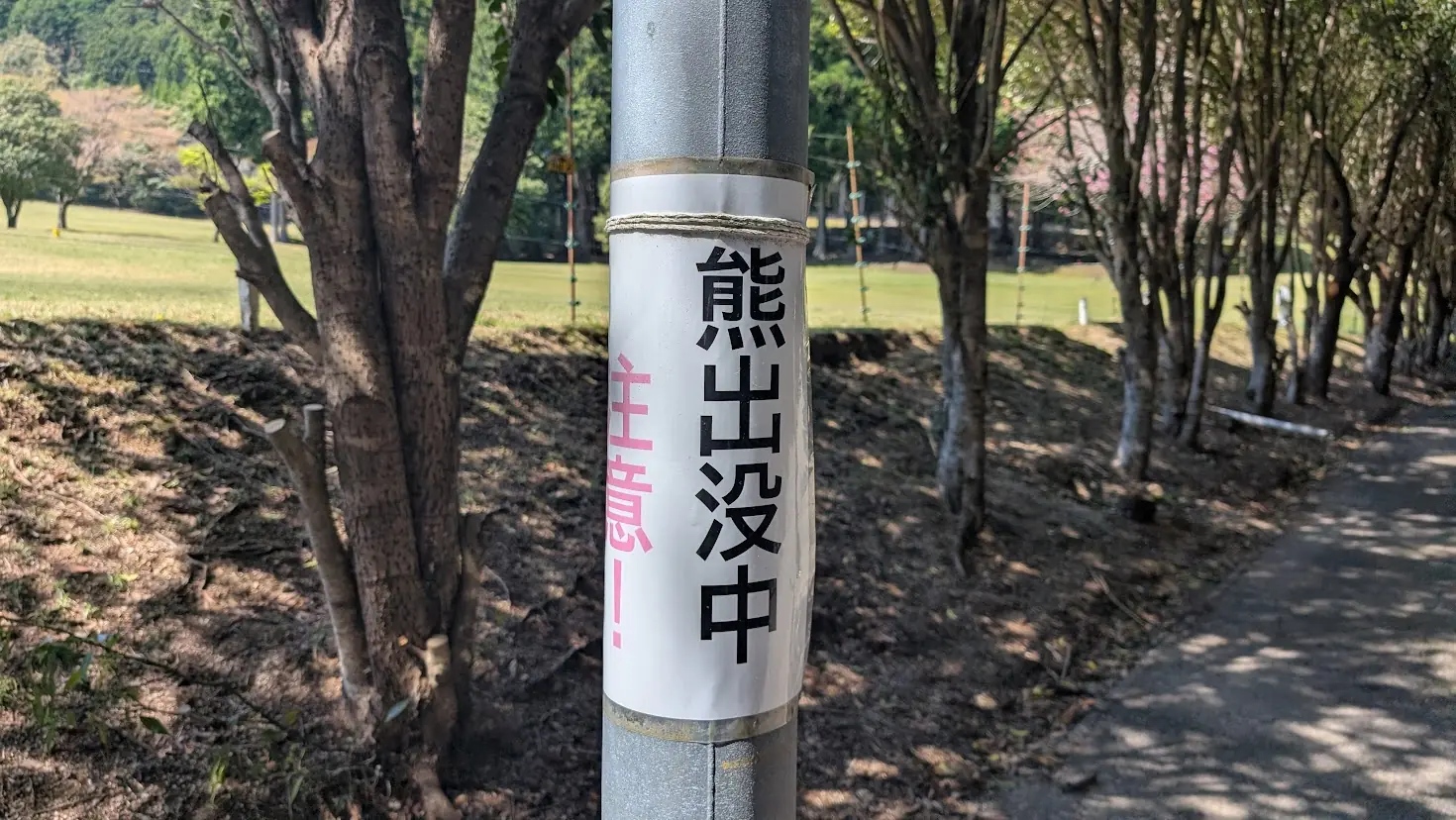 奈良県下北山村、池神社の周遊歩道入り口付近に掲示された「クマ出没注意」の赤い警告の張り紙。