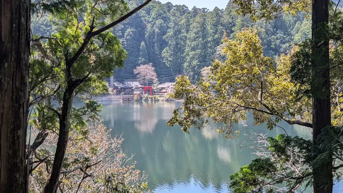 下北山村・明神池の対岸から撮影した池神社の遠景。深い緑の森を背に、朱色の鳥居と社殿が静かな水面に映り込んでいる様子。