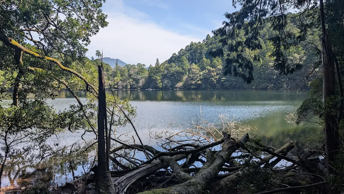 奈良県下北山村、池神社の前にある明神池の風景。静かな水面に周囲の緑と空が映り込み、幻想的な立ち枯れの木が見える様子。