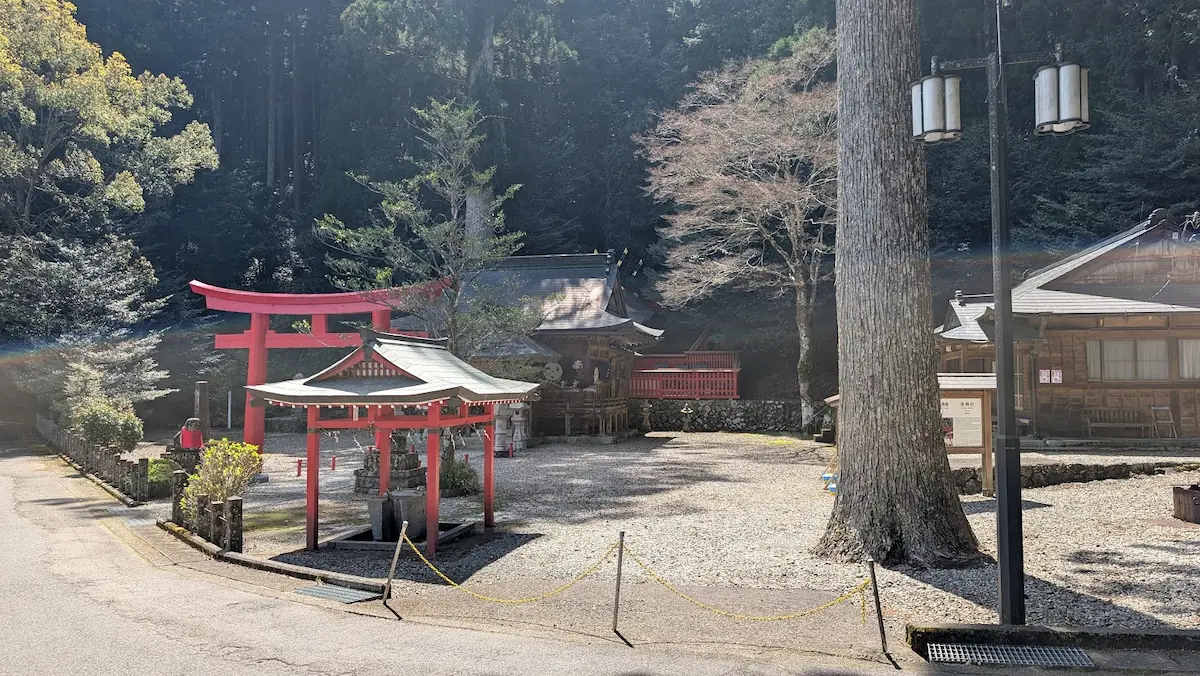 奈良県下北山村の池神社境内。明神池に面した社殿と、それを取り囲むようにそびえ立つ杉の巨木が織りなす神聖な風景。