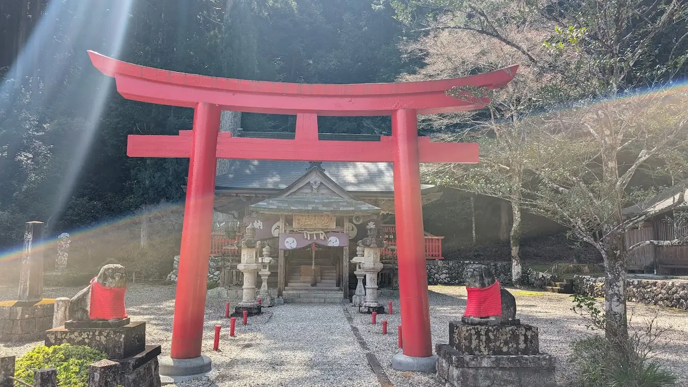 奈良県下北山村の池神社。鳥居と拝殿が並び、レンズフレアの光が差し込む幻想的で神々しい境内の風景。