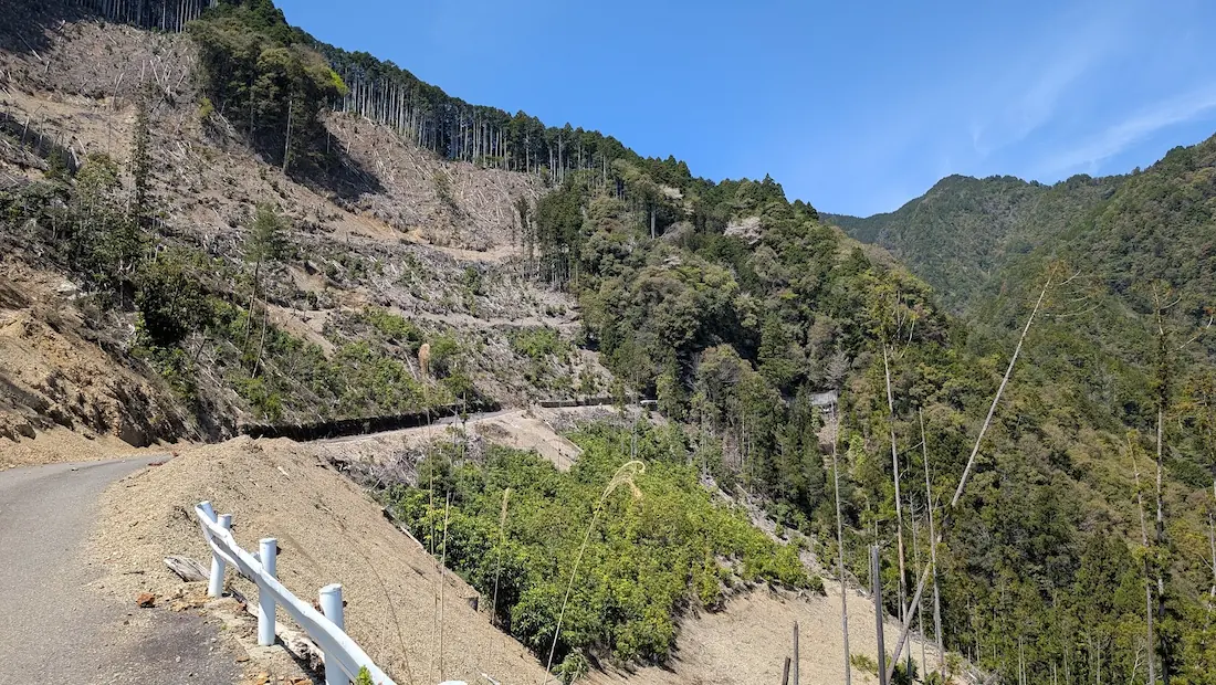 奈良県下北山村、明神池の周遊歩道と間違って登った最高地点(頂上)。険しい山道を登りきった先に広がる、木々の合間から光が差し込む静かな場所。