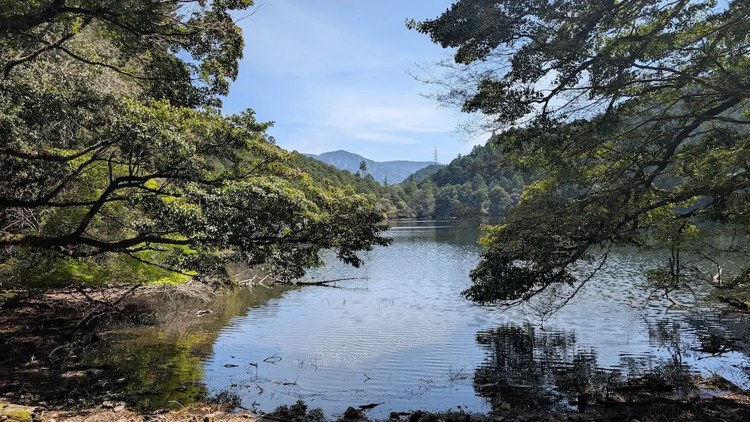 奈良県下北山村、明神池の周遊歩道から少し進んだ地点で見える全景。穏やかな水面に山々の緑が左右対称に映り込む絶景。