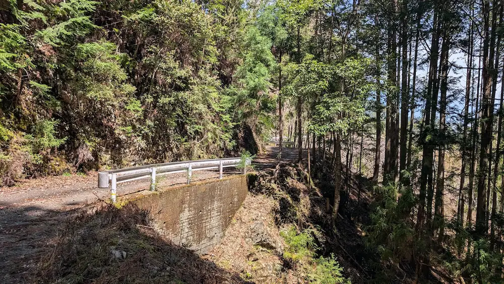 奈良県下北山村、明神池の周遊歩道。当初の平坦な道から一変し、倒木や急勾配が続く険しい山道の様子。