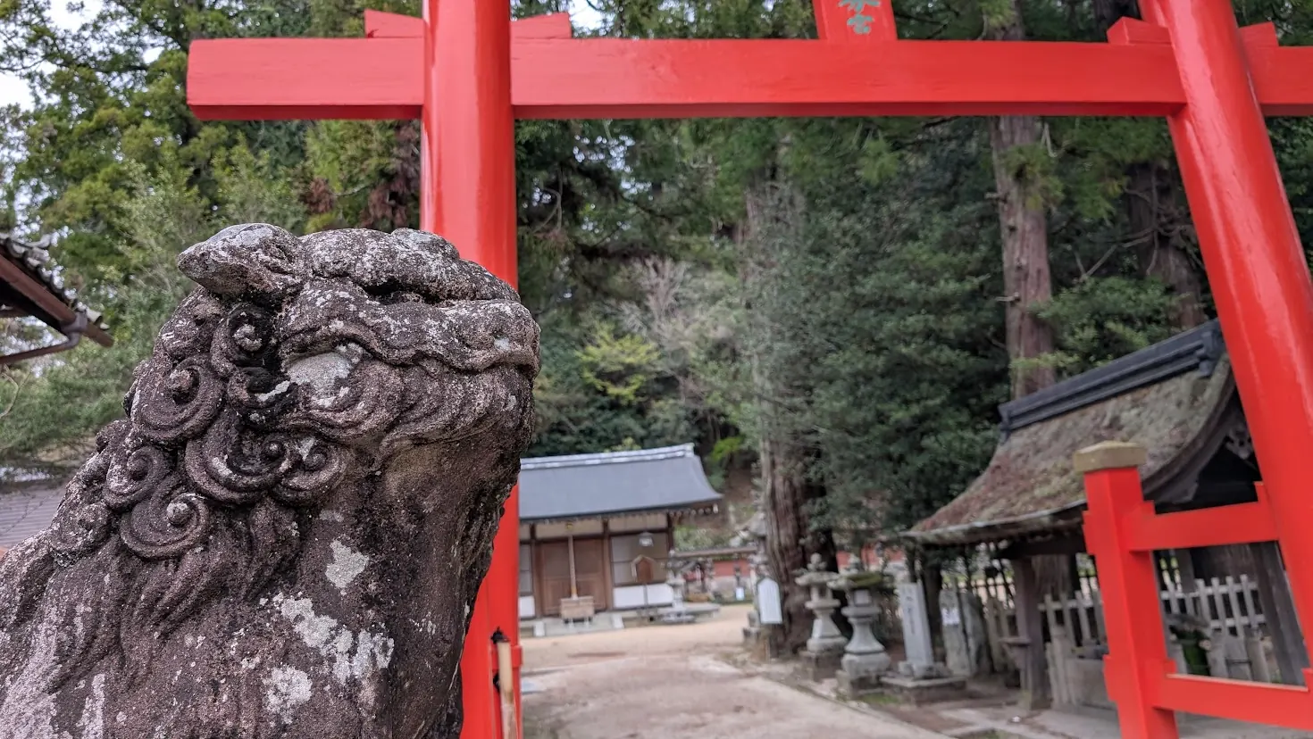 奈良県宇陀市、宇太水分神社の入り口。手前に苔むした歴史ある石造りの狛犬（阿形）を配し、背景に鮮やかな朱色の大鳥居がそびえる構図。