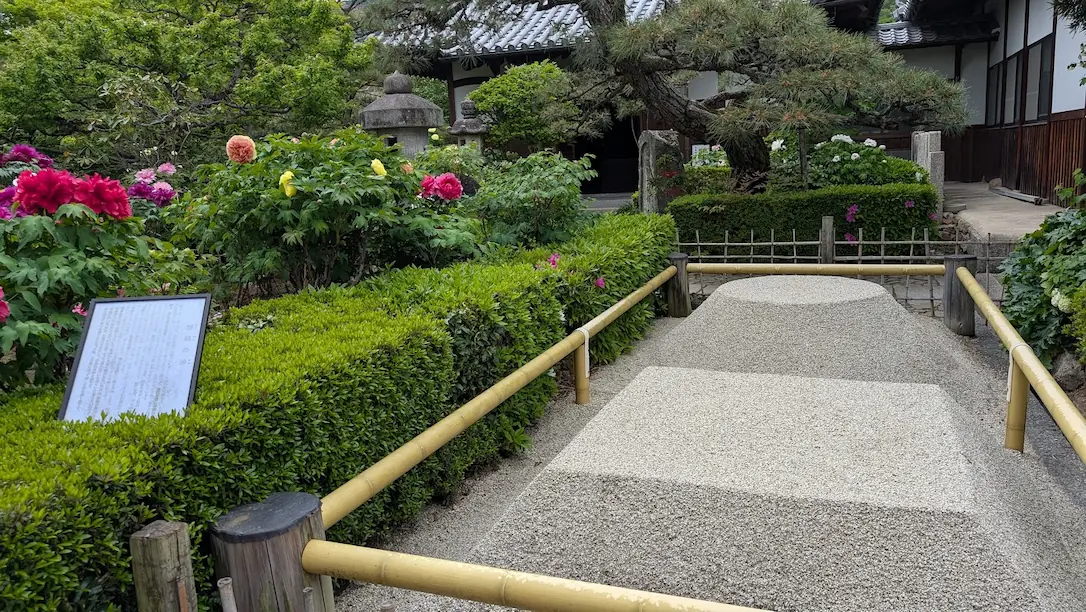 奈良・石光寺。手前に四角と丸に整えられた二つの砂盛り「想観の砂」があり、竹の柵で囲まれている。背景には満開の牡丹や立派な松の木、お寺の建物が見える風景