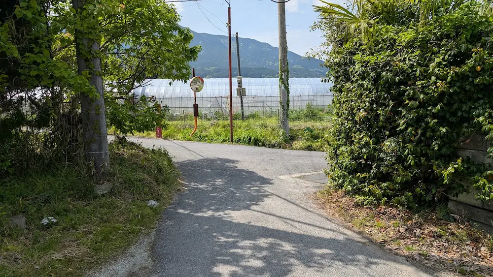 船宿寺の帰り道にある、見通しの悪い狭い右カーブ。曲がった先にはビニールハウスと山々が見える
