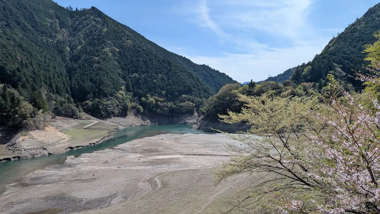 奈良県下北山村へ向かう道中。エメラルドグリーンの川と、干上がって砂地が見える広い河原。手前には淡いピンクの桜が咲き、背景には深い緑の山々がそびえる風景