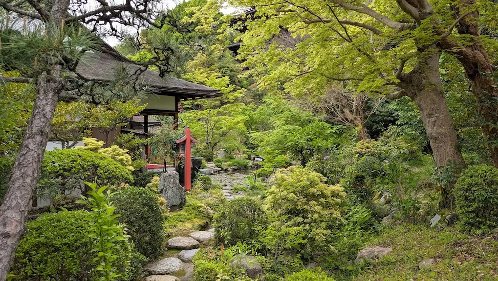 奈良・當麻寺の中之坊にある庭園。手前に苔むした石畳の小径があり、池のほとりには歴史ある茶室、頭上には鮮やかな新緑のモミジが重なり合っている風景