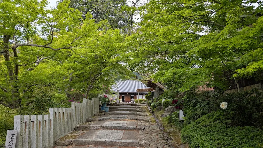 奈良・當麻寺の奥院にて、本堂へと続く緩やかな石段。両脇を鮮やかな新緑のモミジが覆い、木漏れ日が石畳に落ちている静かな風景