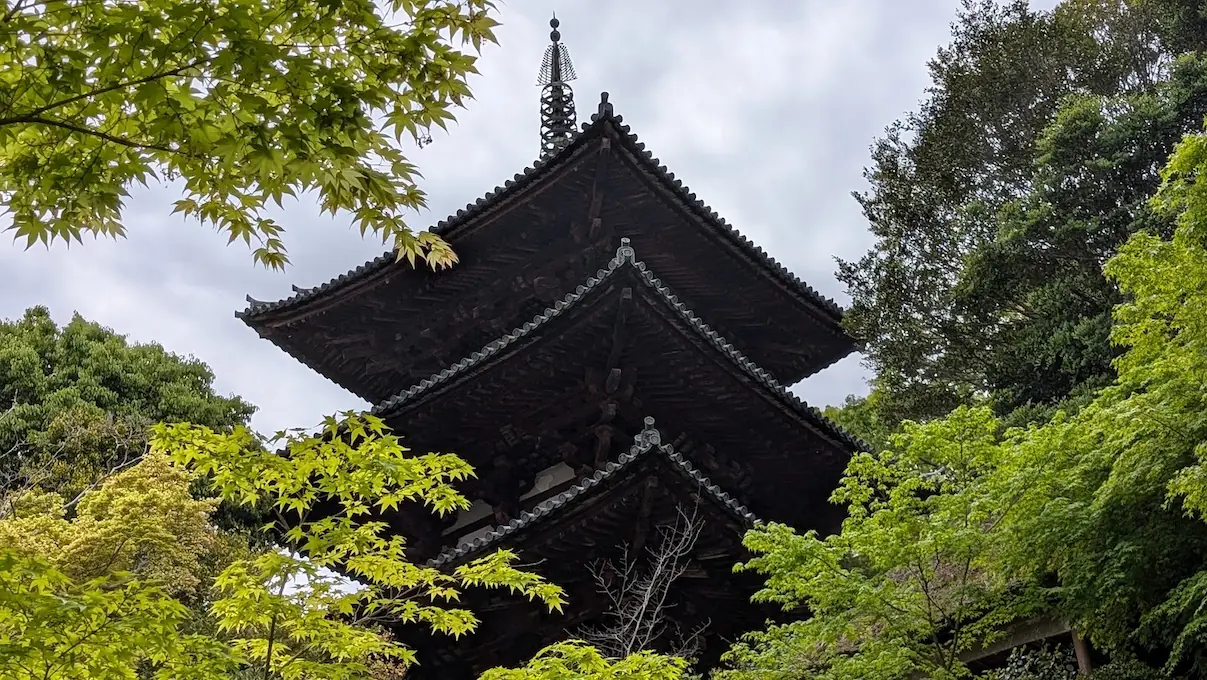 奈良・當麻寺の国宝・東塔。手前には鮮やかな黄緑色の新緑のモミジが広がり、歴史を感じさせる黒ずんだ木造の三重塔を見上げる構図